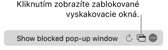 Pole Dynamické vyhľadávanie s tlačidlom na zobrazenie blokovaných vyskakovacích okien.