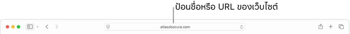 ช่องค้นหาอัจฉริยะของ Safari ที่ซึ่งคุณสามารถป้อนชื่อหรือ URL ของเว็บไซต์ได้