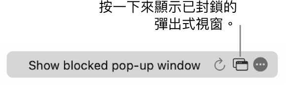 「智慧型搜尋」欄位包括顯示已封鎖的彈出式視窗的按鈕。
