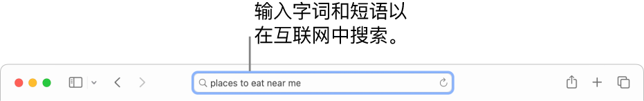 Safari 浏览器智能搜索栏，可在此输入字词和短语以在互联网上搜索。