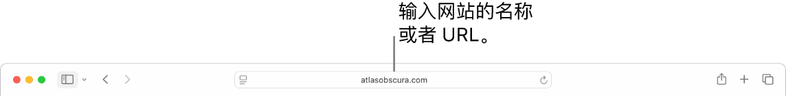 Safari 浏览器智能搜索栏，可在此输入网站的名称或 URL。