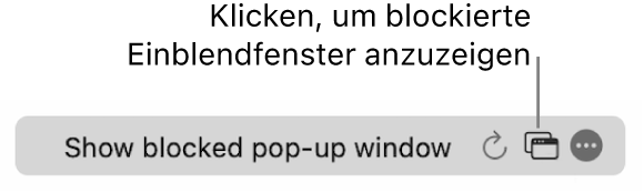 Das intelligente Suchfeld mit einer Taste, um blockierte Pop-up-Fenster anzuzeigen.