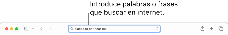 El campo de búsqueda inteligente de Safari, donde puedes introducir palabras y frases que buscar en internet.