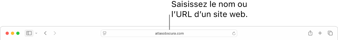 Le champ de recherche intelligente de Safari, dans lequel vous pouvez saisir le nom ou l’URL d’un site web.