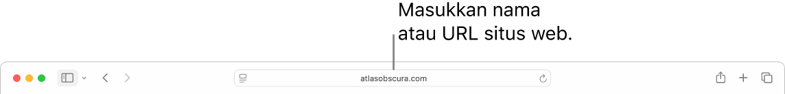 Bidang Pencarian Cerdas Safari, tempat yang dapat Anda masukkan nama atau URL situs web.