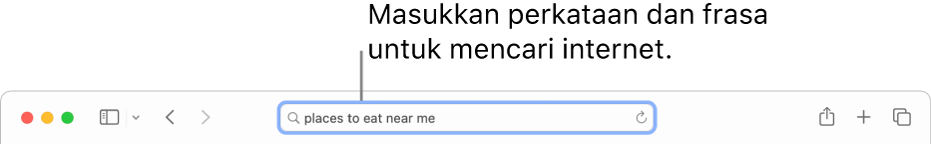 Medan Carian Pintar Safari, tempat anda boleh memasukkan perkataan dan frasa untuk dicari dalam internet.