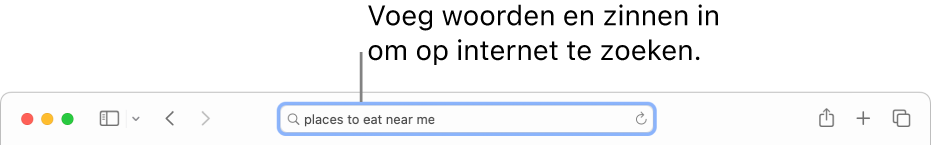 Het slimme zoekveld in Safari, waarin je woorden en woordgroepen kunt typen waarnaar je op het internet wilt zoeken.