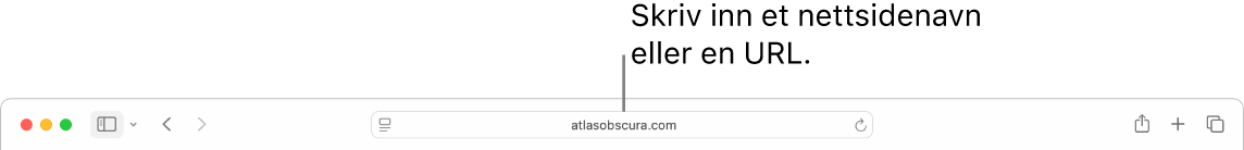 Det smarte søkefeltet i Safari, der du kan skrive inn nettstedets navn eller URL.