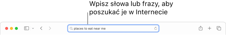 Inteligentne pole wyszukiwania w Safari. Możesz wprowadzać w nim wyrazy i frazy, których chcesz szukać w Internecie.