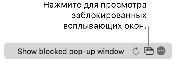 Поле смарт‑поиска с кнопкой просмотра заблокированных всплывающих окон.
