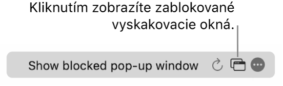 Pole Dynamické vyhľadávanie s tlačidlom na zobrazenie blokovaných vyskakovacích okien.