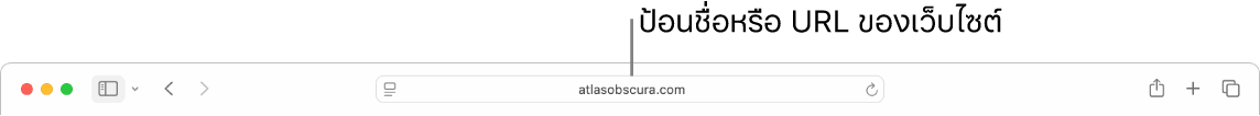 ช่องค้นหาอัจฉริยะของ Safari ที่ซึ่งคุณสามารถป้อนชื่อหรือ URL ของเว็บไซต์ได้