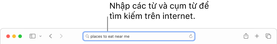 Trường Tìm kiếm thông minh của Safari, nơi bạn có thể nhập các từ và cụm từ để tìm kiếm trên internet.