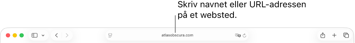 Det smarte søgefelt i Safari, hvor du kan skrive et websteds navn eller URL-adresse.