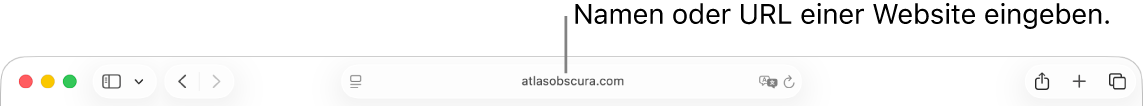 Das intelligente Suchfeld von Safari, in dem du den Namen oder die URL einer Website eingeben kannst.