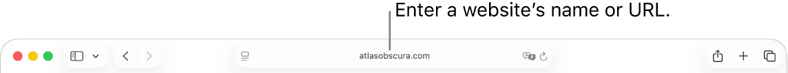 The Smart Search field, located in the middle of the Safari toolbar.