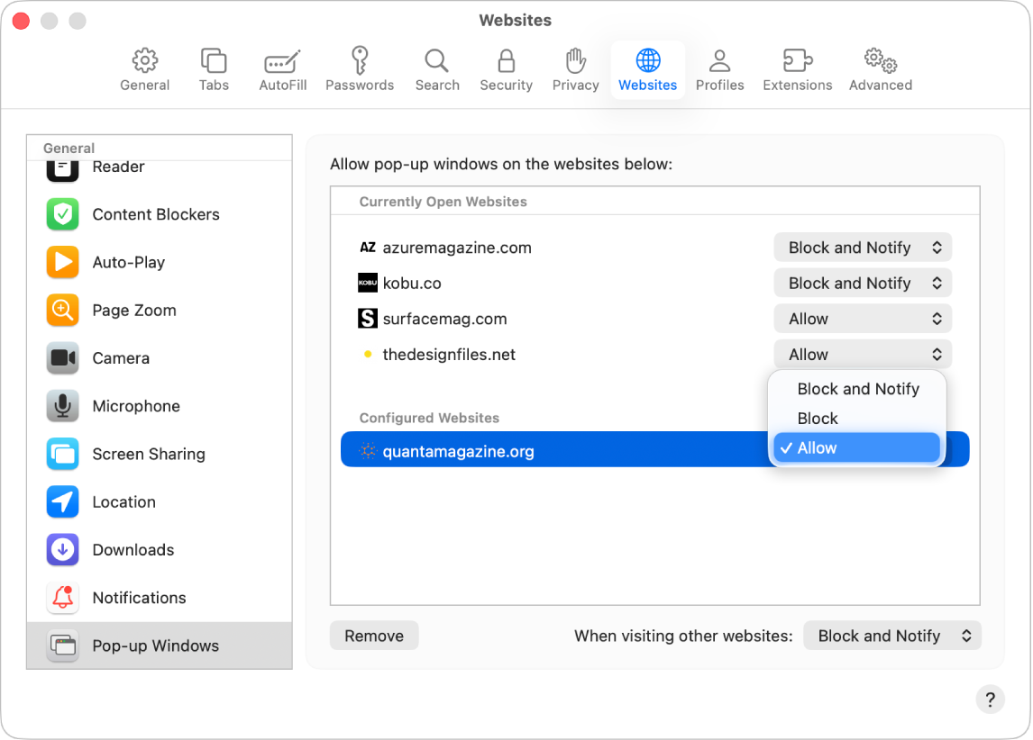The Pop-up Windows option for Safari settings, with Allow selected for a configured website.