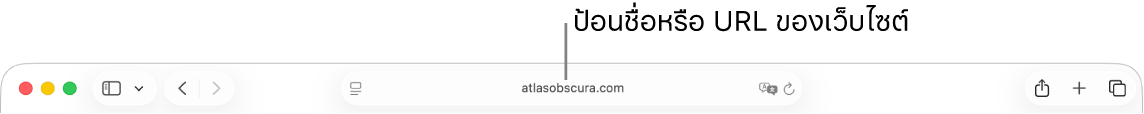 ช่องค้นหาอัจฉริยะของ Safari ที่ซึ่งคุณสามารถป้อนชื่อหรือ URL ของเว็บไซต์ได้