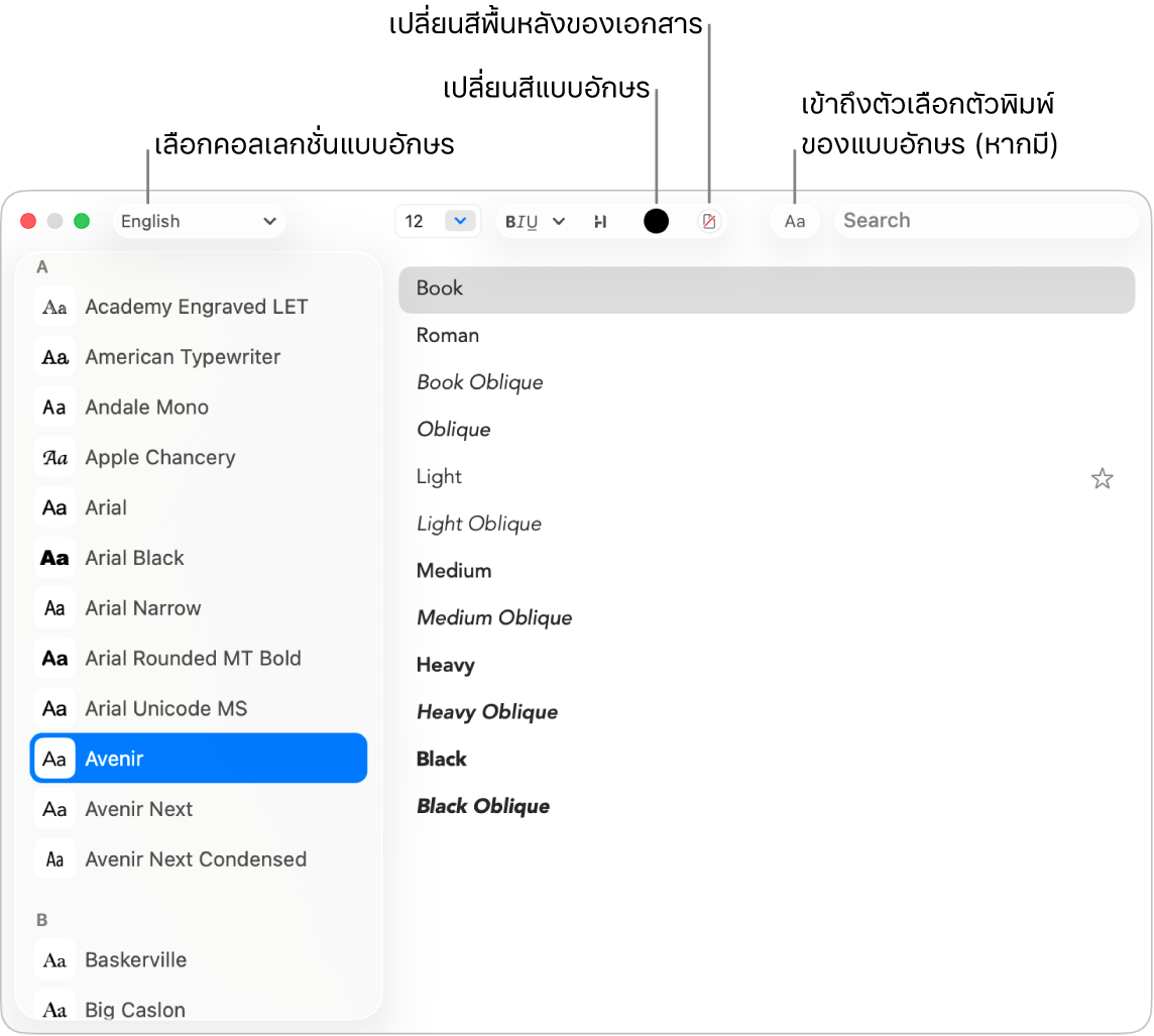 หน้าต่างแบบอักษร TextEdit ที่แสดงตระกูลแบบอักษร