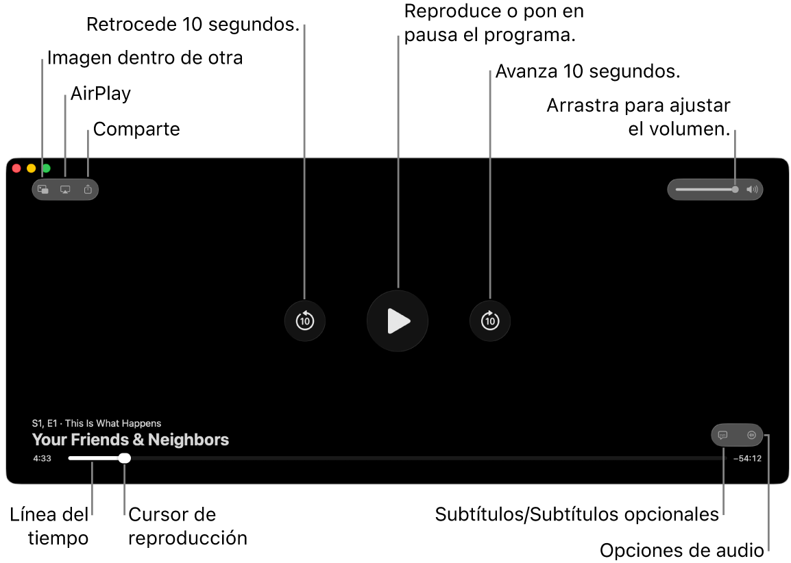 Controles de reproducción en el visor, incluyendo botones para iniciar la reproducción o pausar, avanzar o retroceder, y ajustar el volumen.