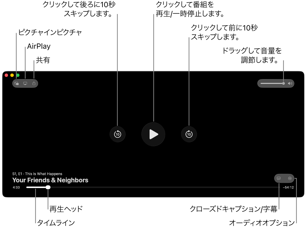 ビューアの再生コントロール。再生または一時停止、前後にスキップする、音量を調整するといった操作を行うためのボタンが含まれています。