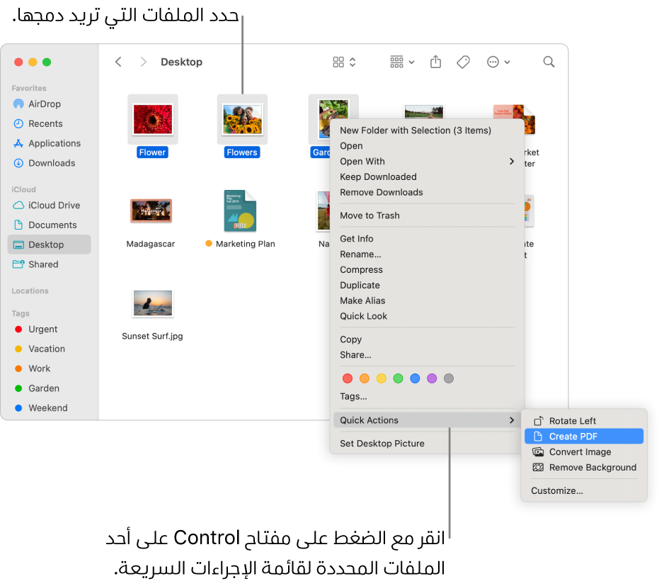 نافذة فايندر تحتوي على ملفات ومجلدات، وقد تم تحديد ثلاثة ملفات، كما تم تمييز إجراء إنشاء مستند PDF في قائمة الإجراءات السريعة.