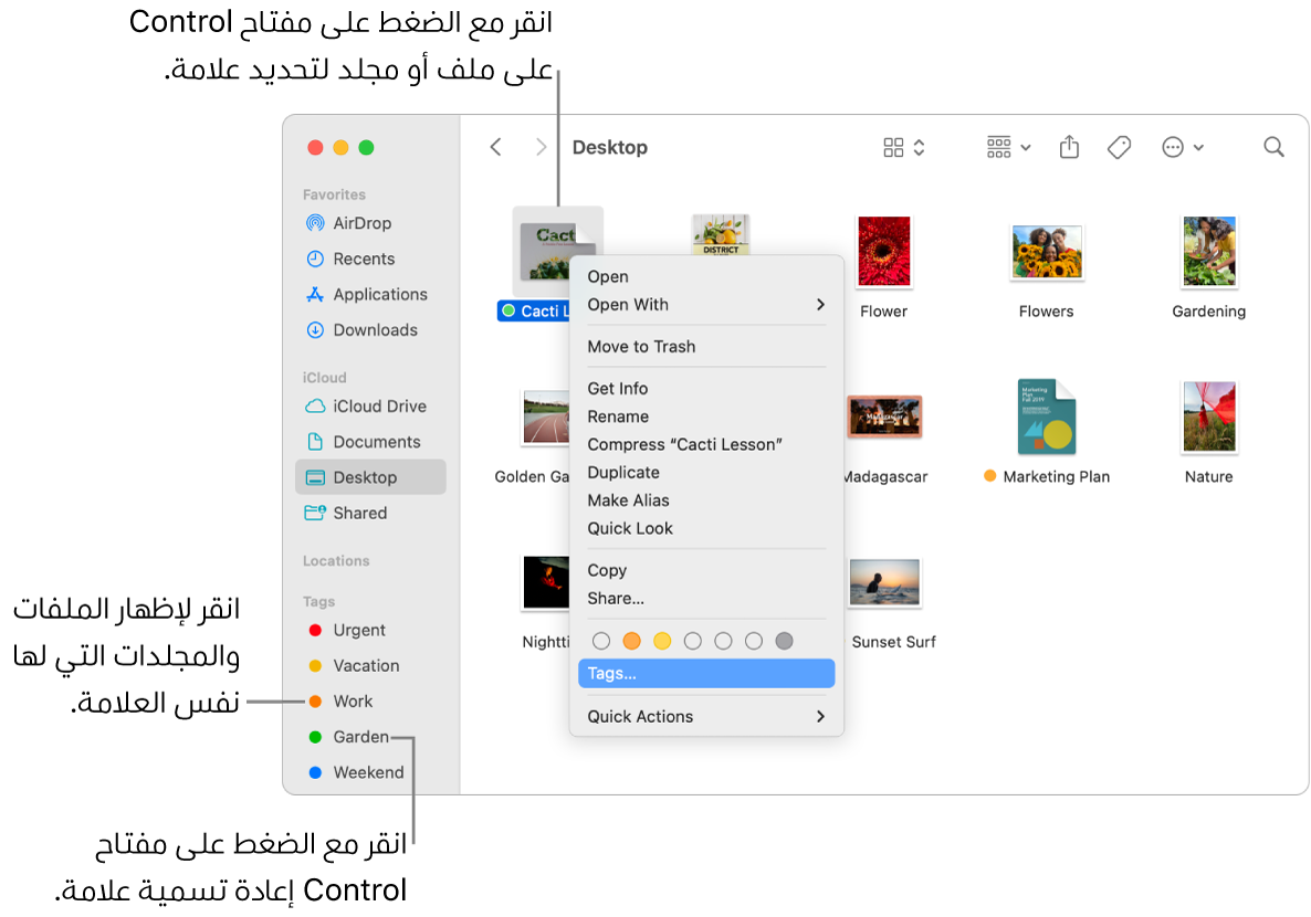 نافذة فايندر تحتوي على ملفات ومجلدات مميزة بعلامات، مع تحديد ملف. في قائمة الاختصارات، توجد خيارات ألوان للعلامات، وقد تم تمييز العلامات.