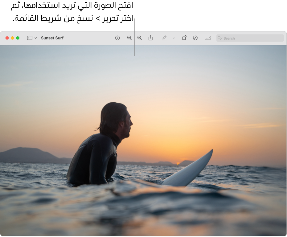 تطبيق المعاينة يعرض صورة سيتم نسخها.