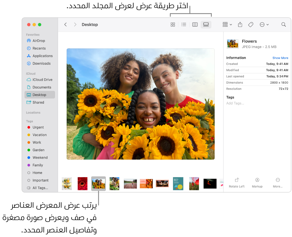 نافذة فايندر تعرض شريط فايندر الجانبي على اليمين وملف صورة محدد في أسفل النافذة. في المنتصف، يعرض جزء المعاينة كيف تبدو الصورة، مع تفاصيل الصورة أدناه، وأزرار الإجراءات السريعة على اليسار.