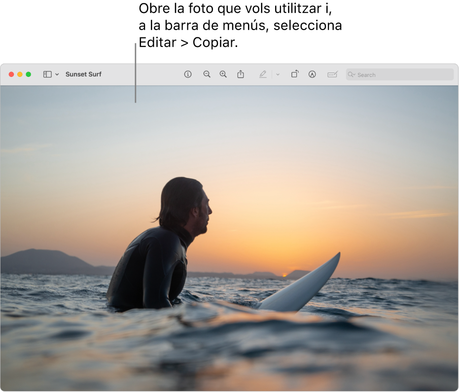 L’app Previsualització mostrant una imatge que s’ha de copiar.