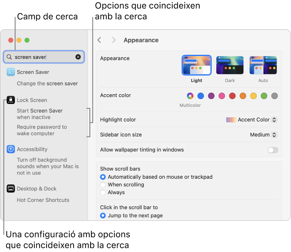 La finestra de “Configuració del Sistema” que mostra “estalvi de pantalla” al camp de cerca i una llista de resultats de cerca coincidents a sota del camp de cerca.