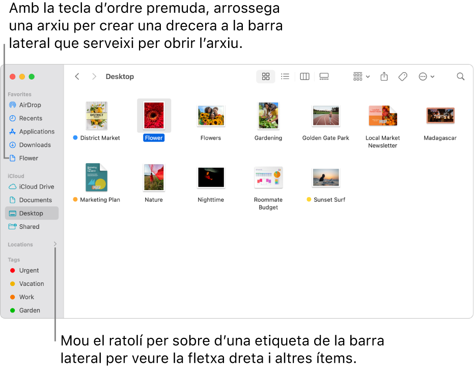 A la barra lateral del Finder, a la dreta d’Ubicacions, hi ha una fletxa on pots fer clic perquè es mostrin ítems addicionals. A la finestra del Finder, a la dreta, hi ha un arxiu seleccionat, i a la barra lateral, a sota de Favorits, hi ha una drecera a l’arxiu.
