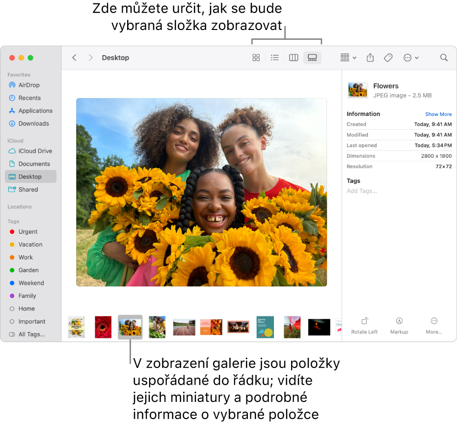 Okno Finderu s bočním panelem Finderu vlevo a s vybraným obrázkovým souborem v dolní části okna Ve střední části panel Náhled ukazuje, jak obrázek vypadá, vpravo jsou podrobnosti o obrázku a tlačítka pro rychlé akce