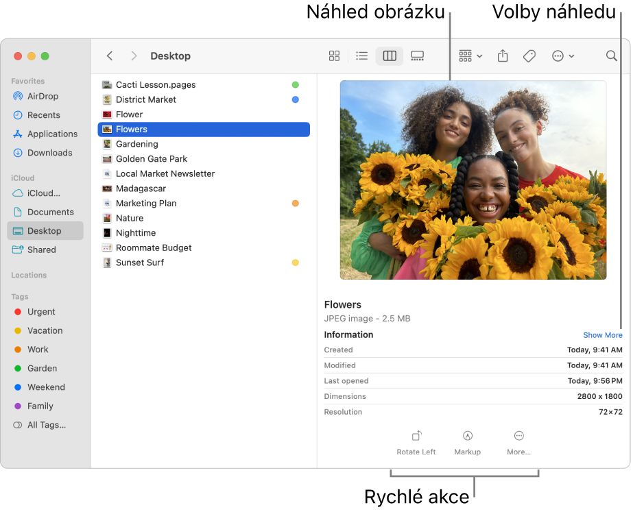 Okno Finderu s bočním panelem Finderu vlevo a s vybraným obrázkovým souborem uprostřed okna. Vpravo panel Náhled ukazuje, jak obrázek vypadá, detaily obrázku se nacházejí pod tím a tlačítka pro rychlé akce v dolní části.