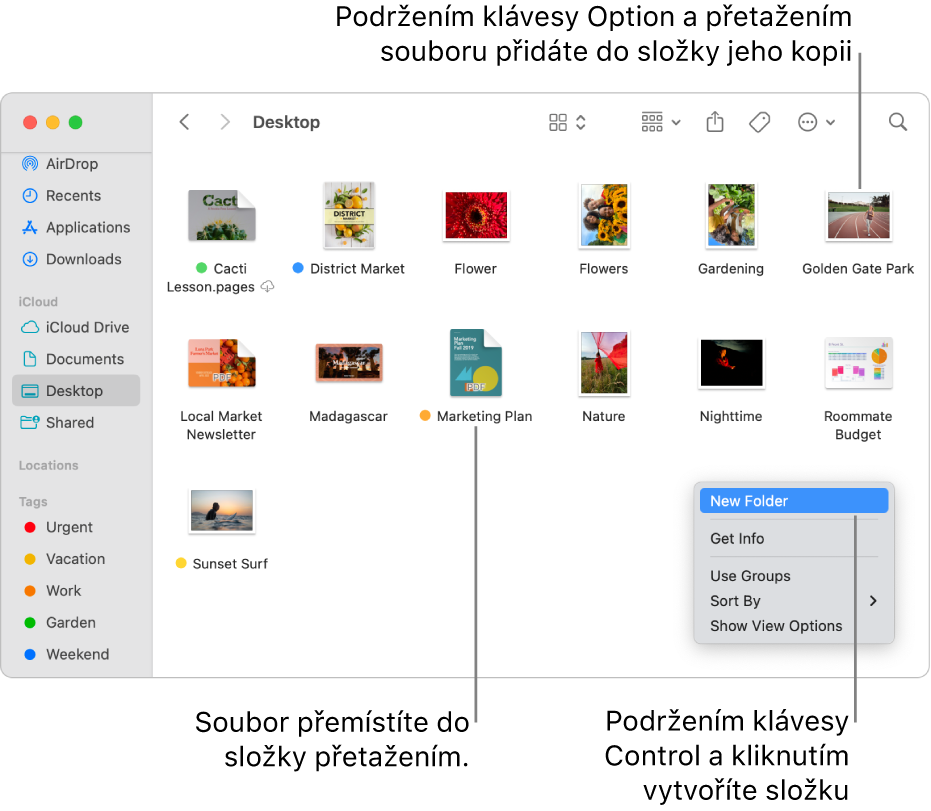 Okno Finderu, v němž jsou vidět soubory a složky. V nabídce zkratek je zvýrazněna položka Nová složka