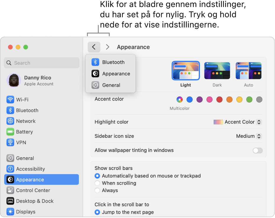 Vinduet Systemindstillinger, der viser de senest besøgte indstillinger, under knappen Tilbage.