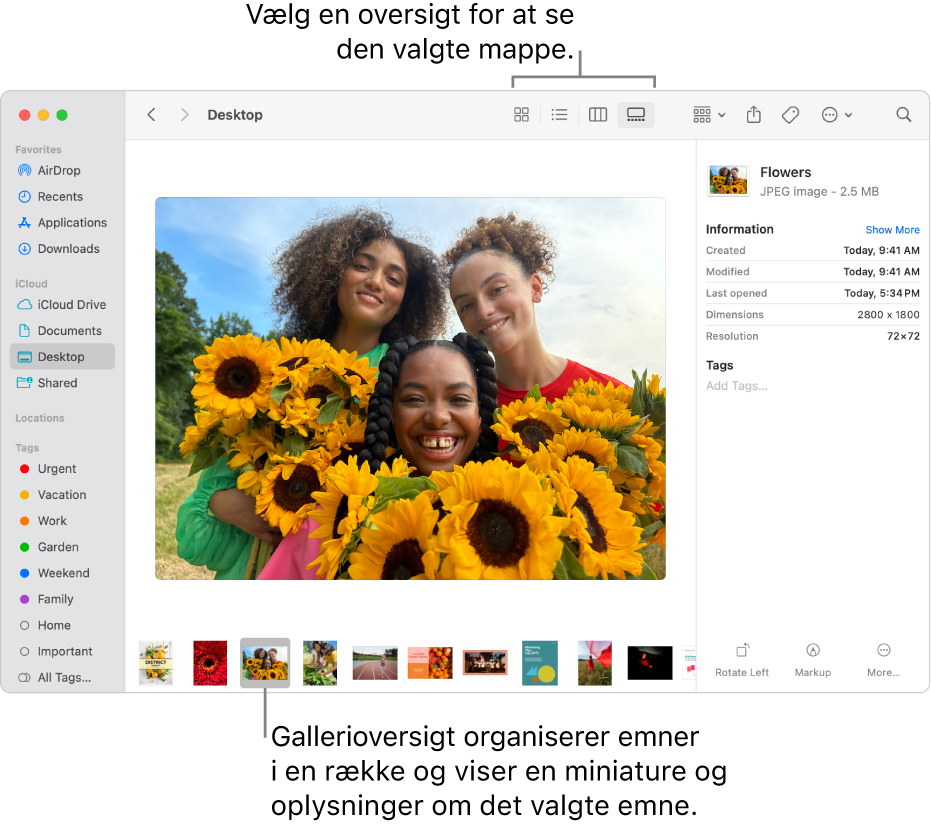 Et Findervindue med indholdsoversigten i Finder til venstre og et billedarkiv valgt nederst i vinduet. I midten af eksempelvinduet vises billedet og derunder oplysningerne om billedet og knapperne til hurtige kommandoer til højre.