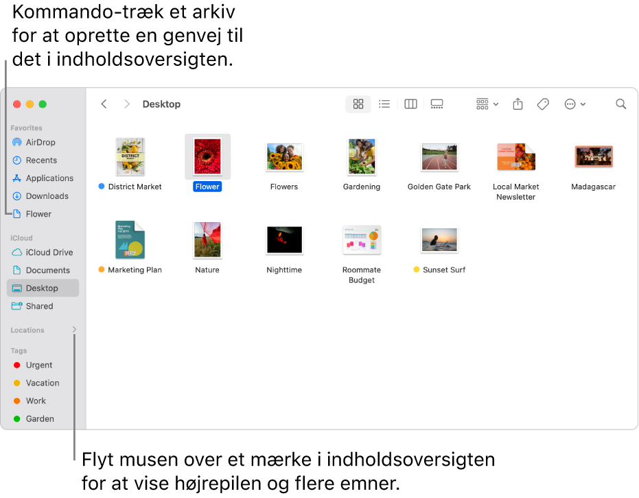 Til højre for Placeringer i indholdoversigten i Finder er der en pil, som du kan klikke på for at se de andre emner. I Findervinduet til højre er et arkiv valgt, og i indholdsoversigten er der en genvej til arkivet, under Favoritter.