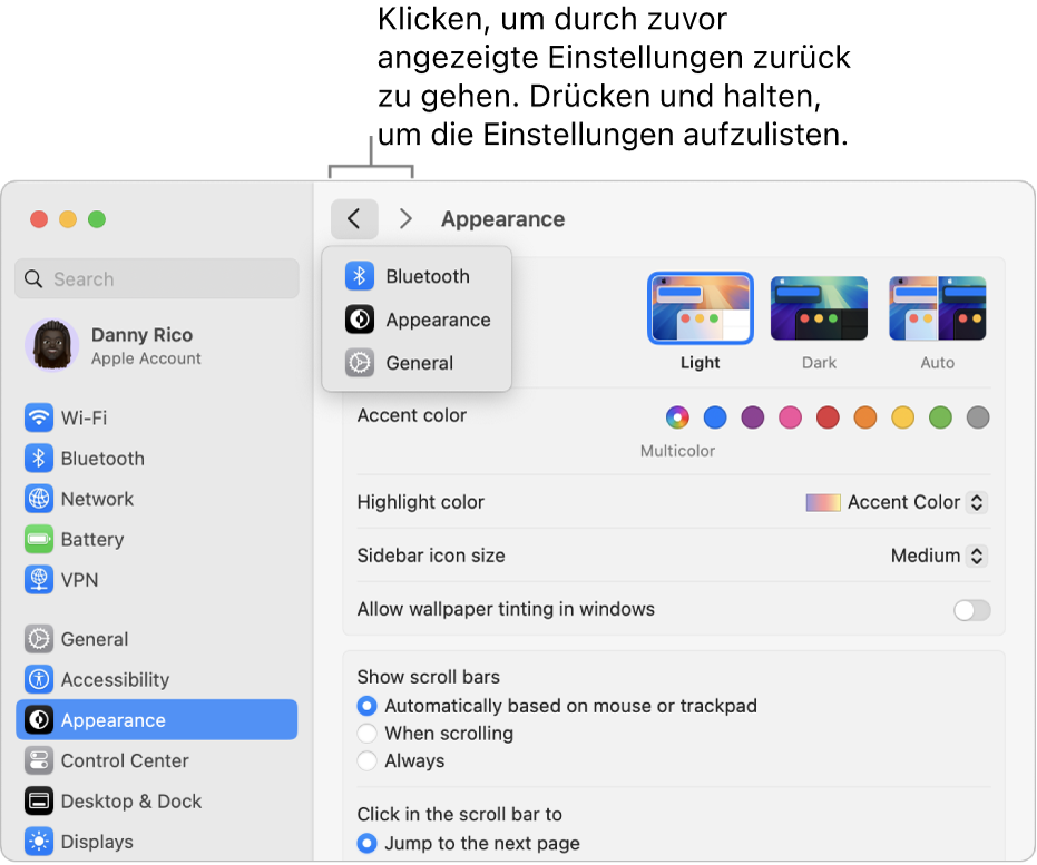 Das Fenster „Systemeinstellungen“ mit den zuletzt angezeigten Einstellungen unterhalb der Taste „Zurück“.