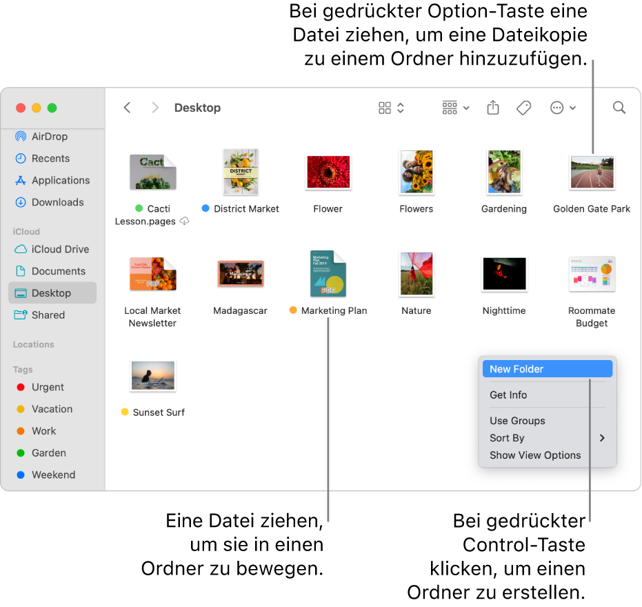 Ein Finder-Fenster mit Dateien und Ordnern. Im Menü „Kurzbefehle“ ist „Neuer Ordner“ hervorgehoben.