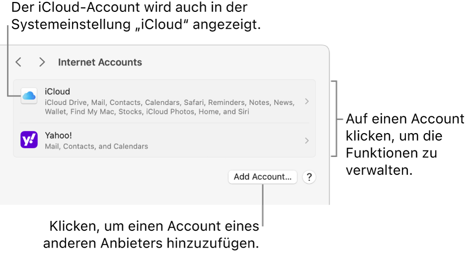 Systemeinstellung „Internetaccounts“ mit einer Liste der Accounts, die auf dem Mac eingerichtet sind.