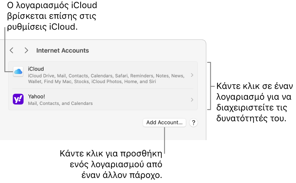 Εμφανίζονται οι ρυθμίσεις Λογαριασμών Διαδικτύου με λογαριασμούς που έχουν διαμορφωθεί στο Mac.