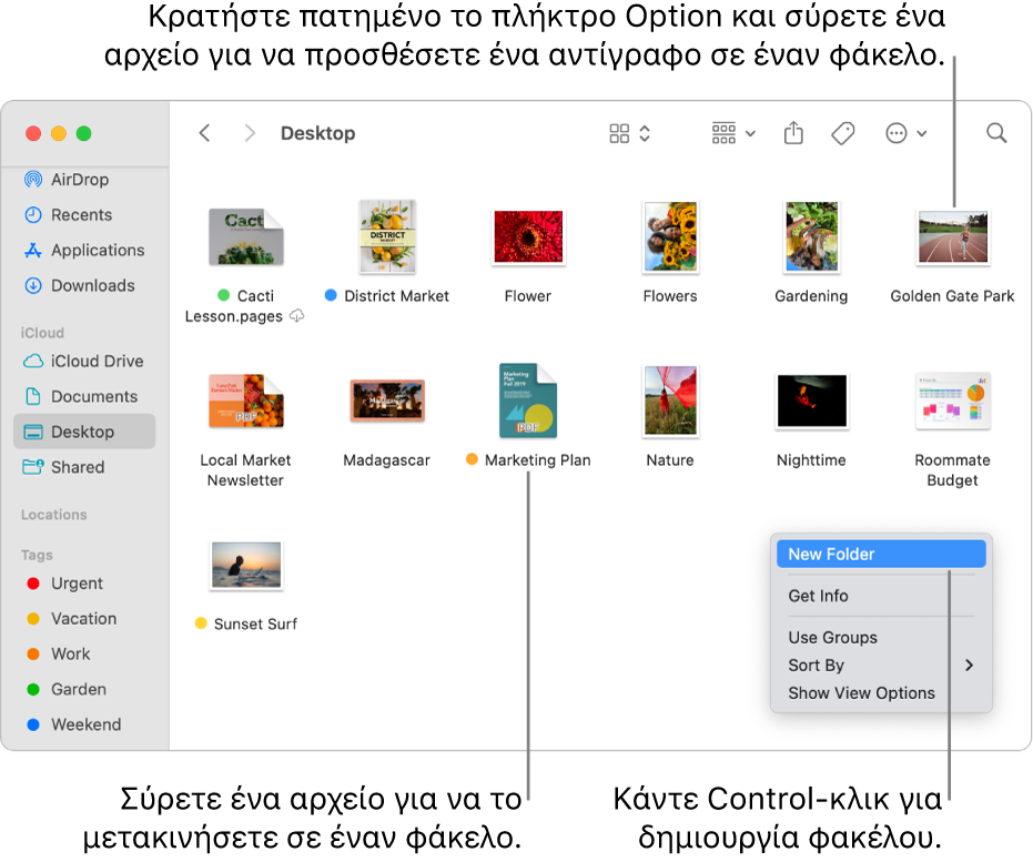 Ένα παράθυρο του Finder που περιέχει αρχεία και φακέλους. Στο μενού συντόμευσης, επισημαίνεται η εντολή «Νέος φάκελος».