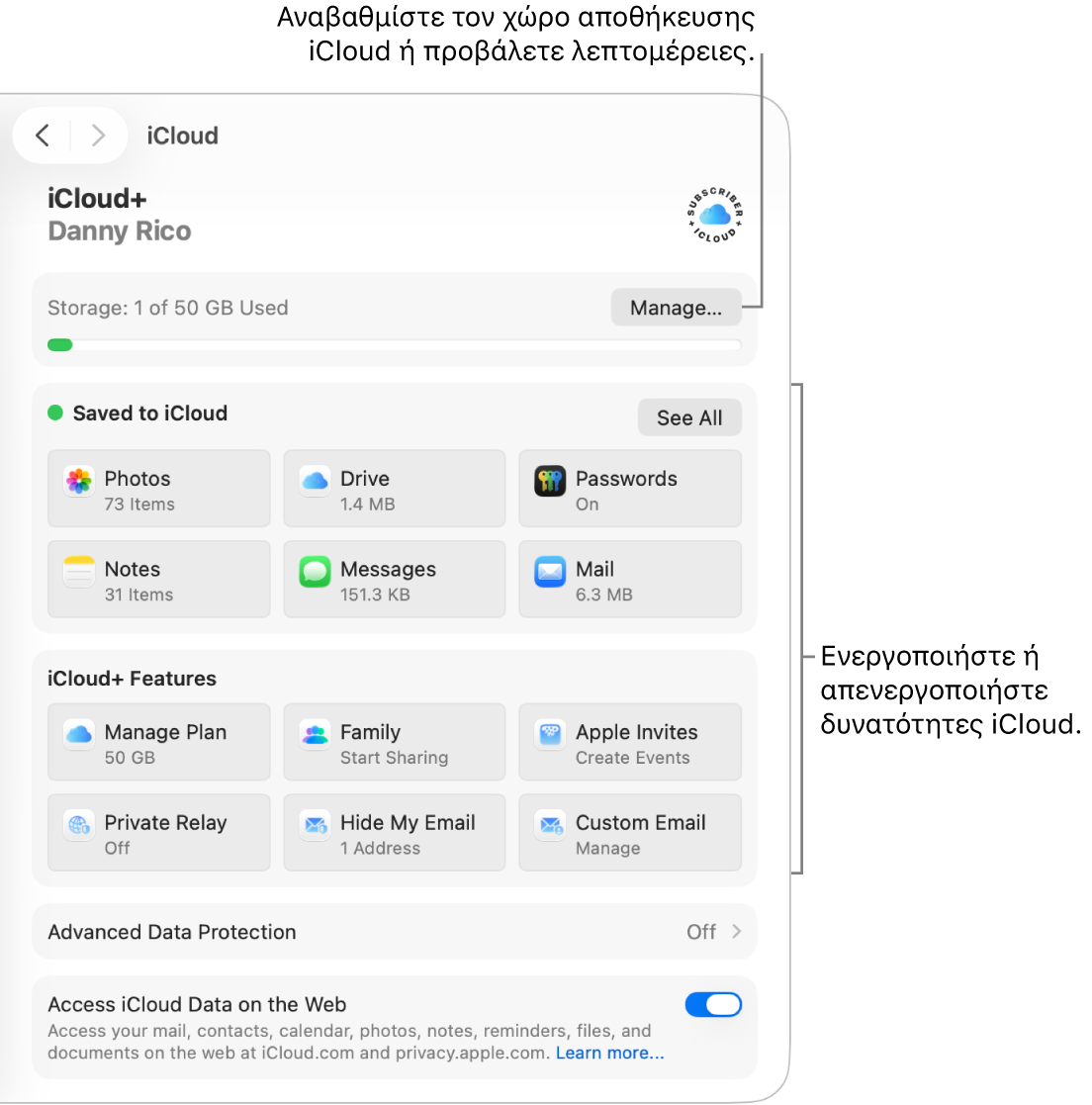 Ρυθμίσεις iCloud για τις πιο συχνά χρησιμοποιούμενες δυνατότητες.