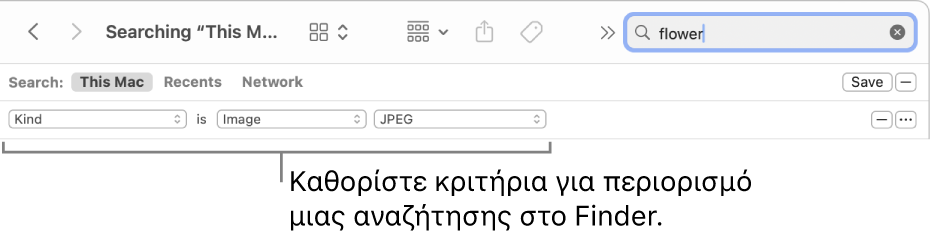 Ένα παράθυρο του Finder με πεδία για τον προσδιορισμό κριτηρίων αναζήτησης.