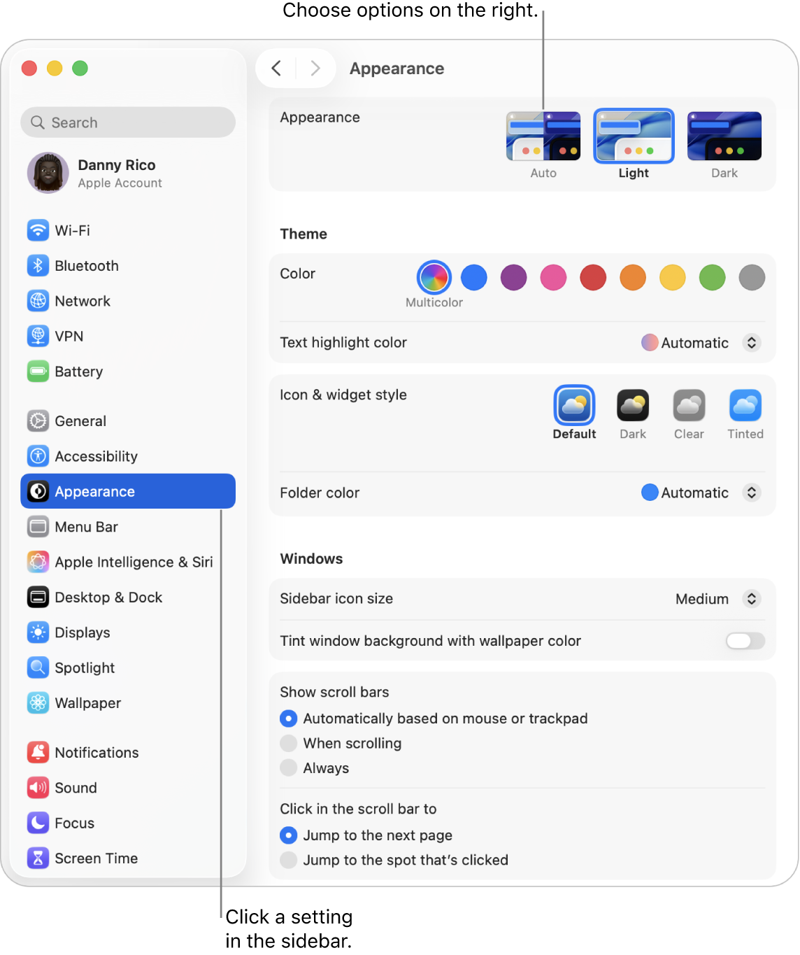 The System Settings window, with Appearance settings selected in the sidebar and Appearance options on the right.