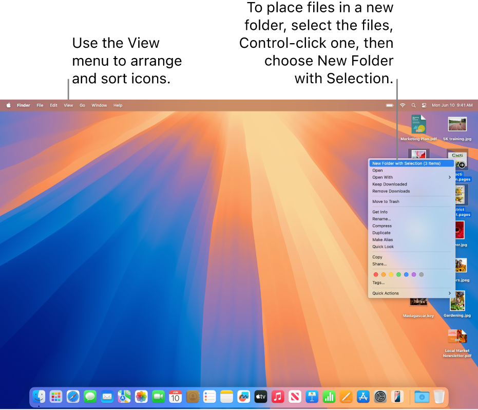 A desktop showing files and folders. Several files are selected to be placed in a new folder. A Control-click of a selected file shows a pop-up menu and New Folder with Selection is chosen.