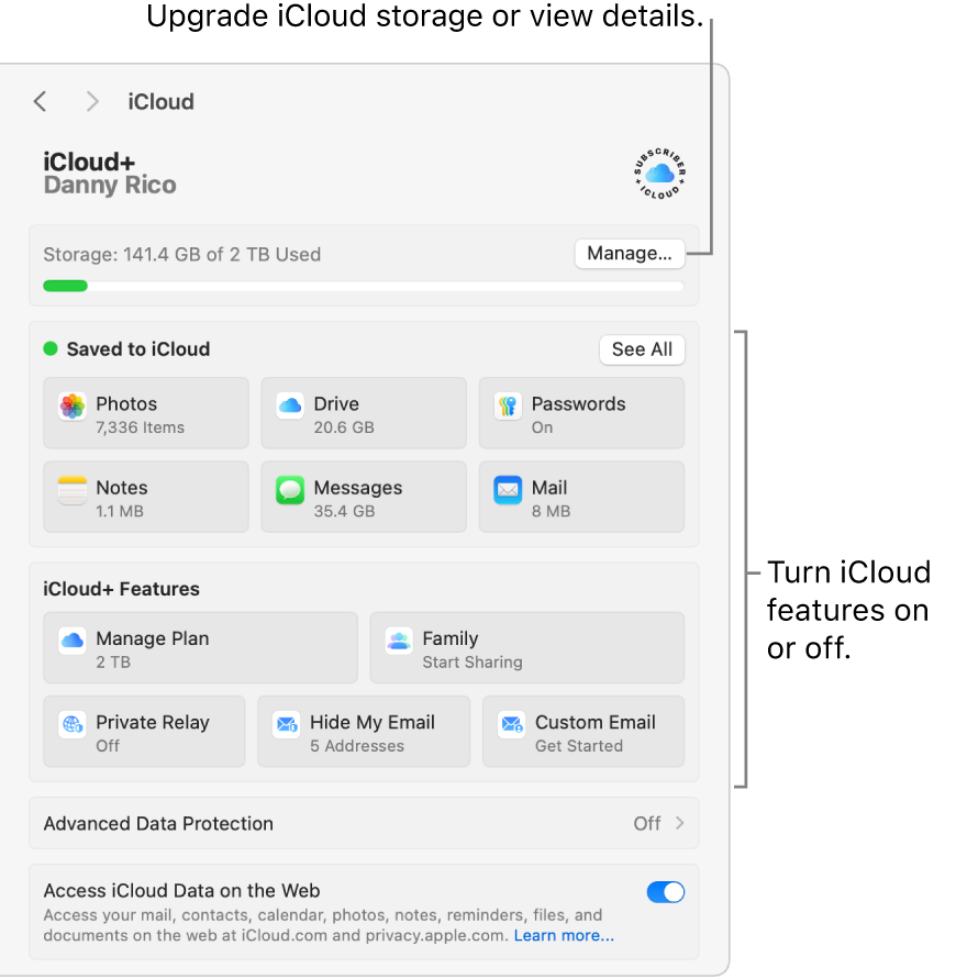 iCloud settings with all the features turned on.