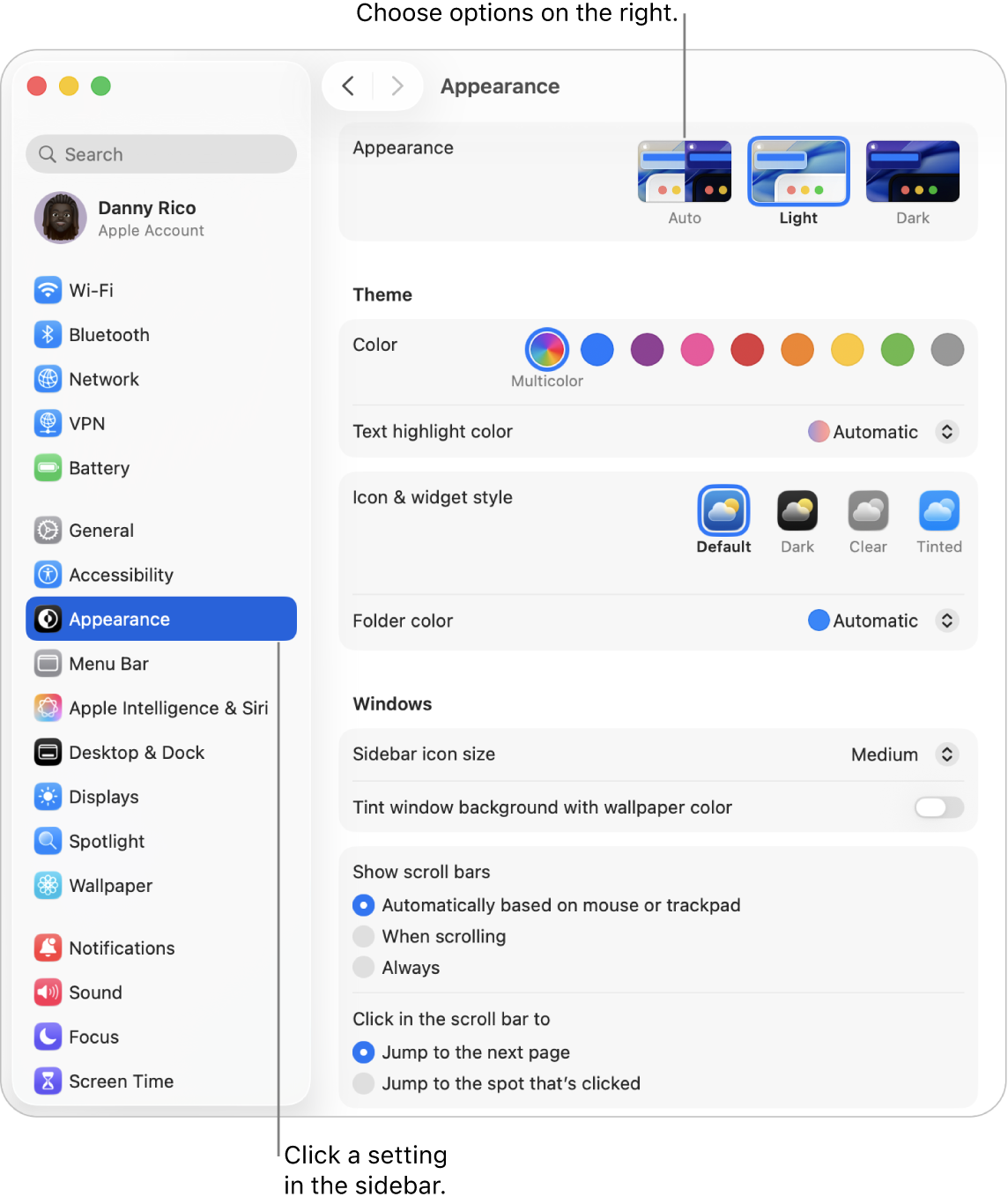 The System Settings window, with Appearance settings selected in the sidebar, and Appearance options on the right.