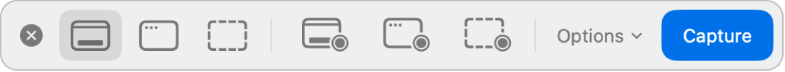The Screenshot panel.